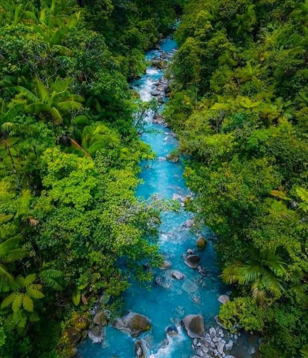 Cabinas El Pilon Rio Celeste Exterior foto